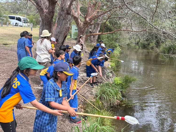 May be an image of tree